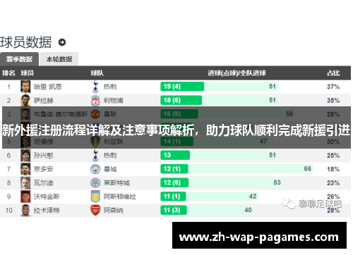 新外援注册流程详解及注意事项解析，助力球队顺利完成新援引进
