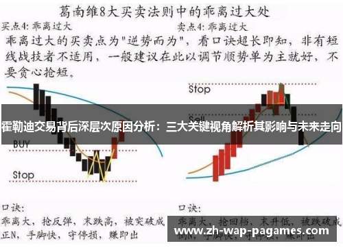 霍勒迪交易背后深层次原因分析：三大关键视角解析其影响与未来走向