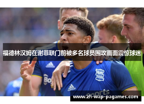 福德林汉姆在谢菲联门前被多名球员围攻画面震惊球迷