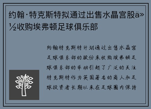 约翰·特克斯特拟通过出售水晶宫股份收购埃弗顿足球俱乐部