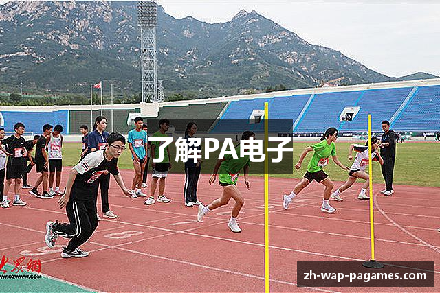 了解PA电子